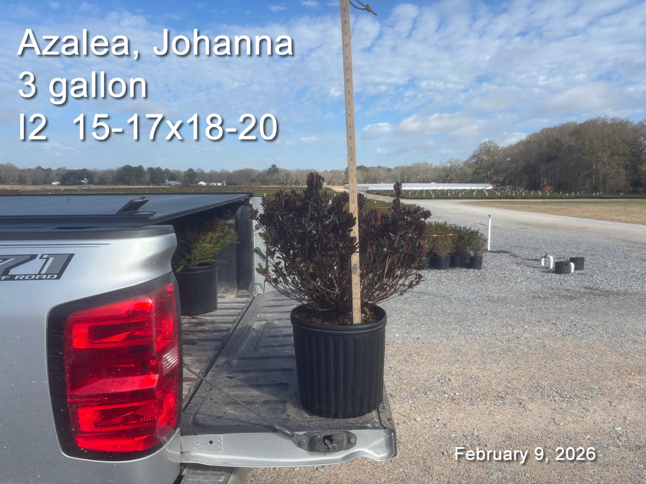 gallery/jh3 i2 feb9.jpg